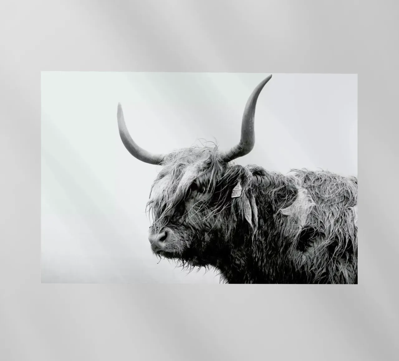 Standing Sentinel pellicola backlit da Natural Kingdom