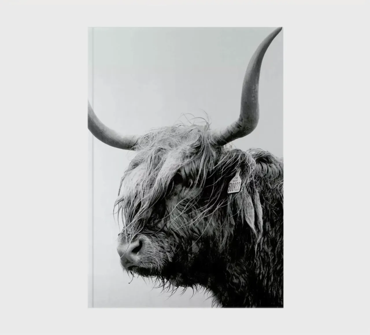 Standing Sentinel notebook by Natural Kingdom