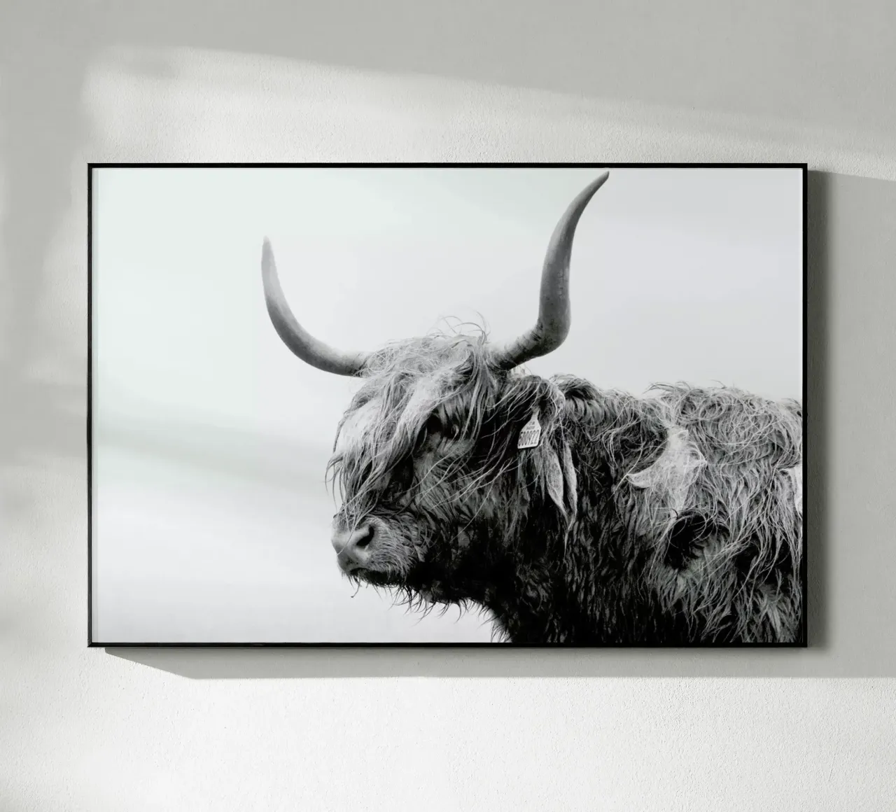 Standing Sentinel plexiglass da Natural Kingdom