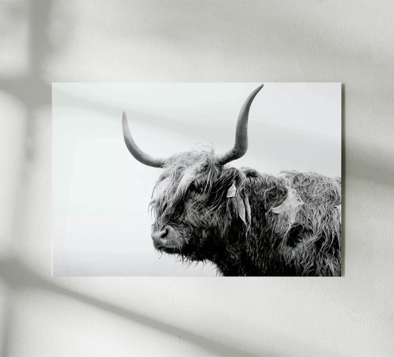 Standing Sentinel plexiglass da Natural Kingdom