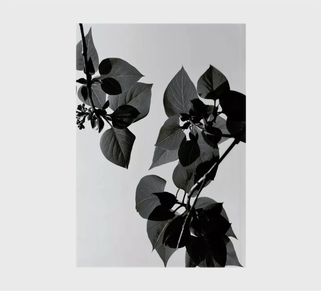 Green is the Color of Life notebook by Studio Nahili