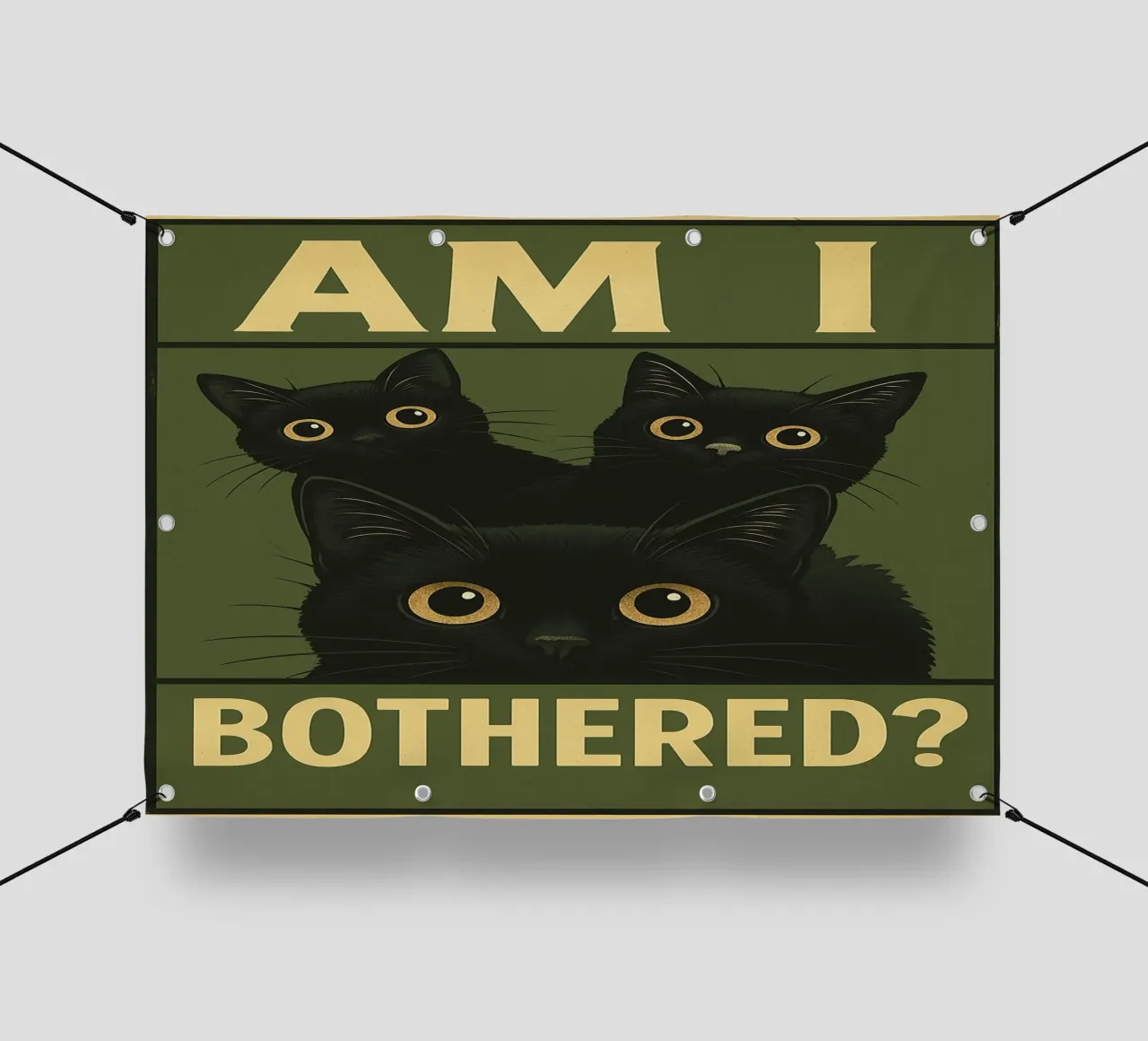 Am I Bothererd Cat Funny lonas publicitarias de the gan gan