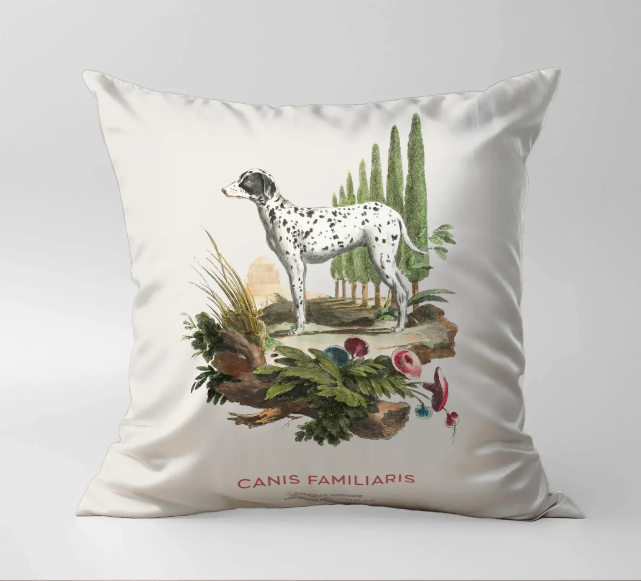 Cane dalmata d'epoca cuscino da Vintagrafica