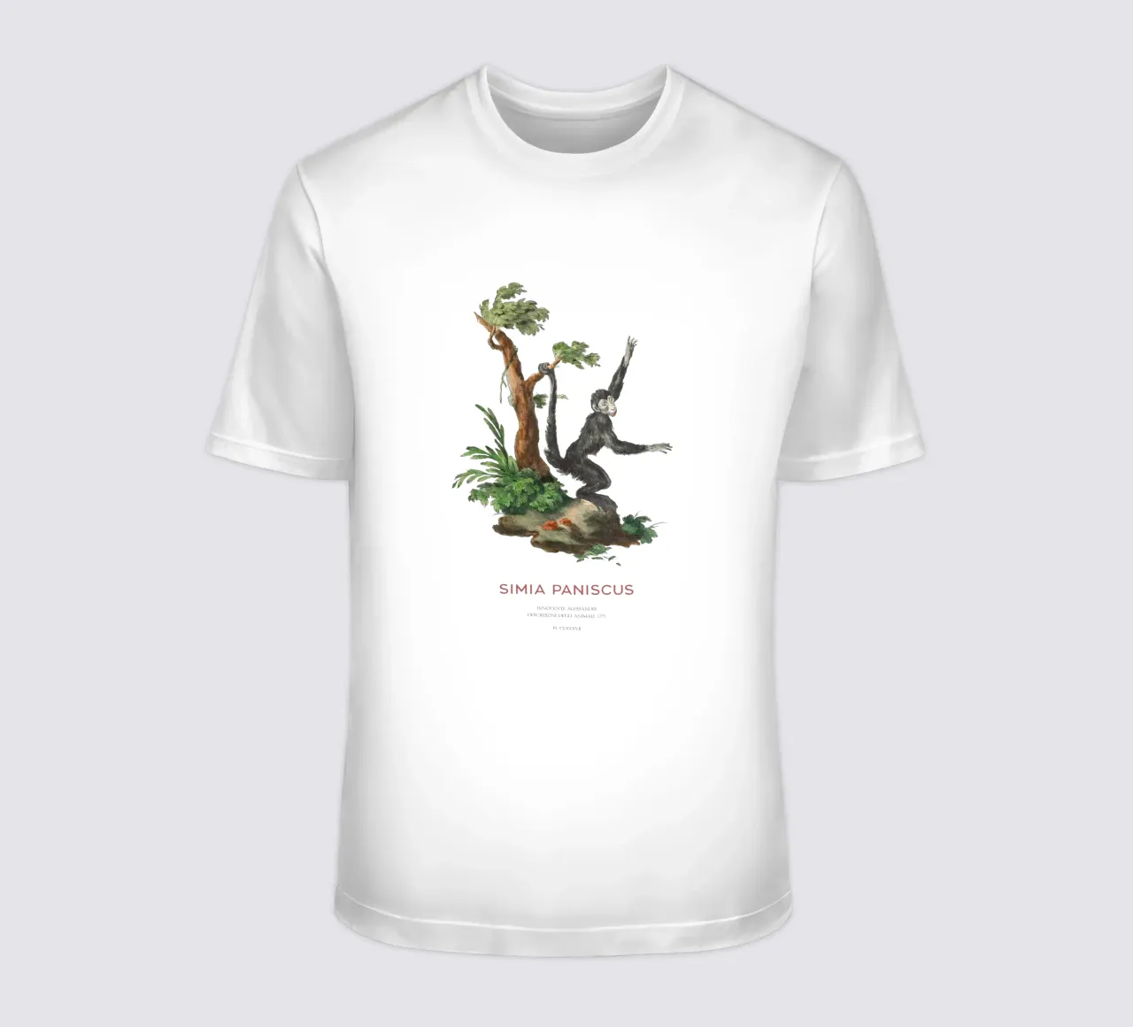 Scimmia ragno o Simia paniscus t-shirt da Vintagrafica