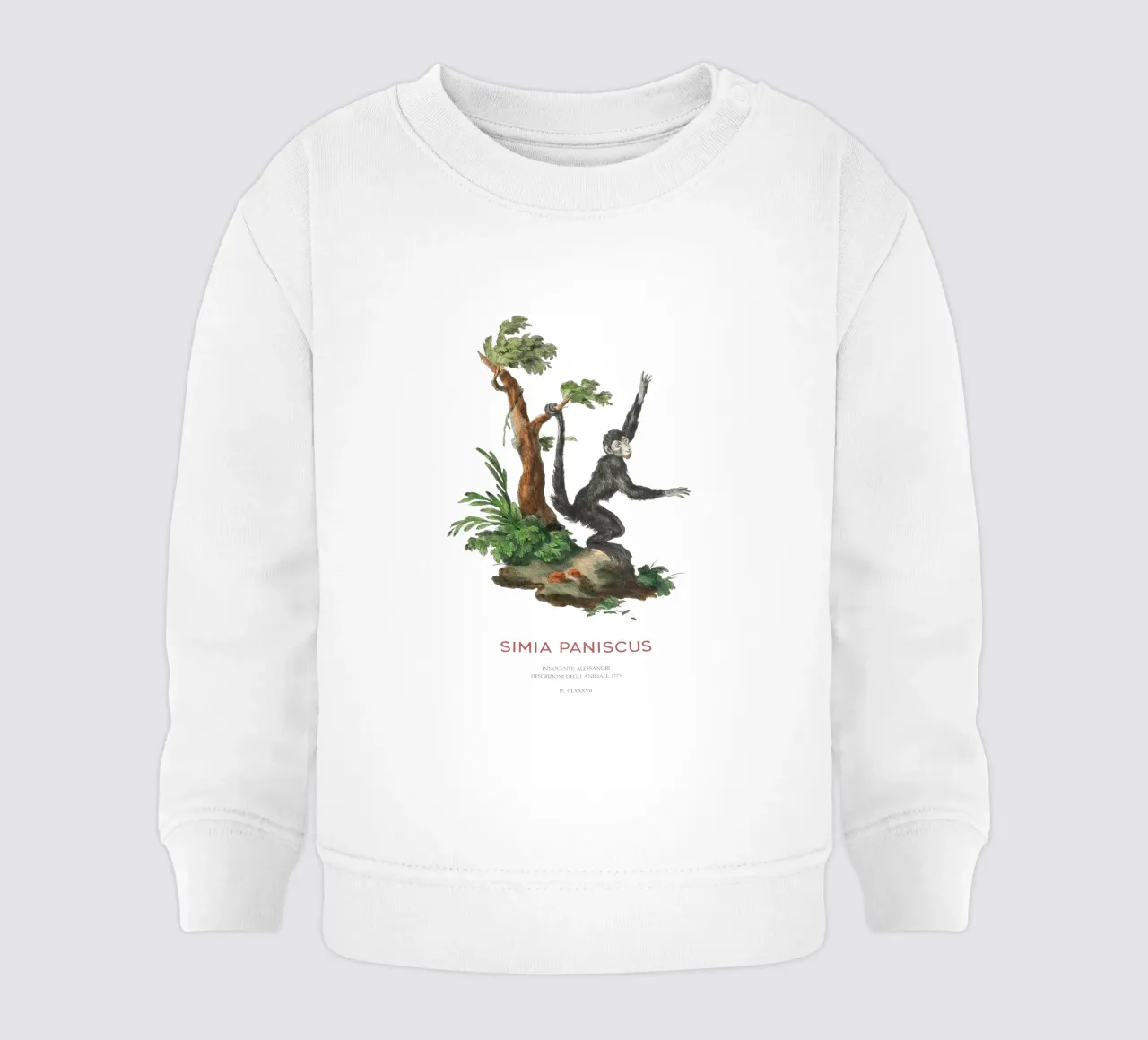 Scimmia ragno o Simia paniscus felpa neonato da Vintagrafica