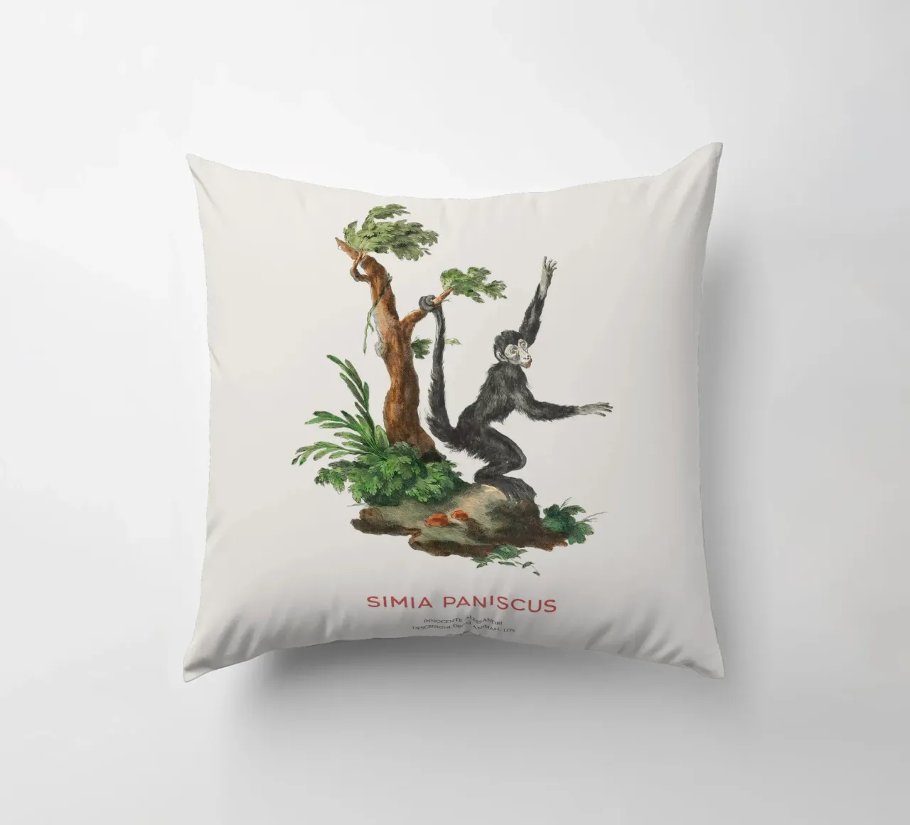 Scimmia ragno o Simia paniscus cuscino da Vintagrafica