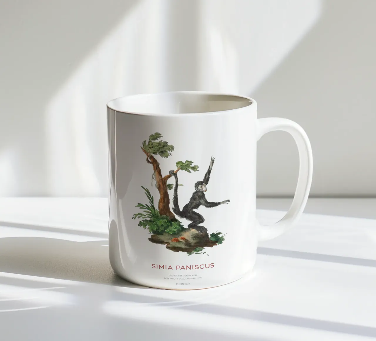 Scimmia ragno o Simia paniscus tazza in ceramica da Vintagrafica