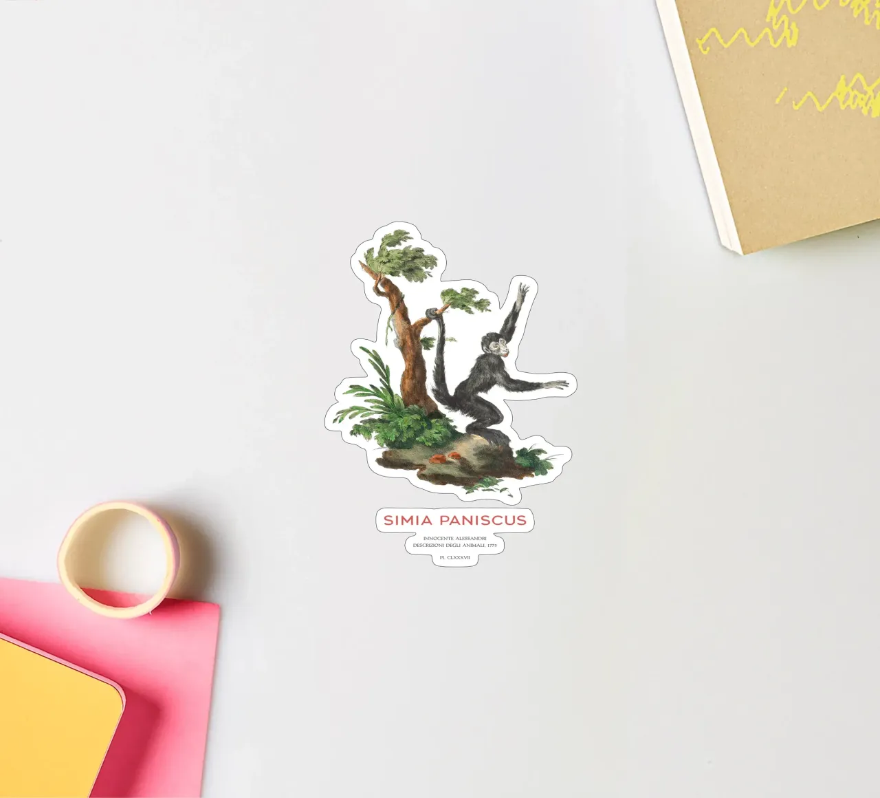 Klammeraffe oder Simia paniscus Sticker von Vintagrafica
