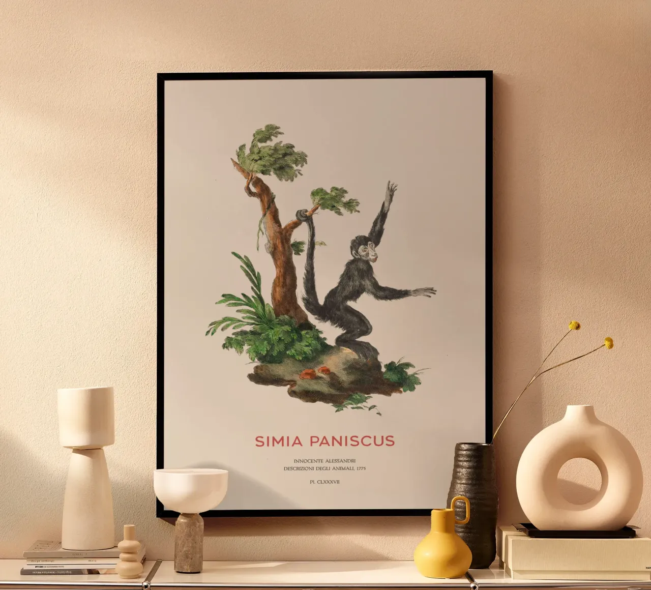 Scimmia ragno o Simia paniscus carta hahnemühle da Vintagrafica