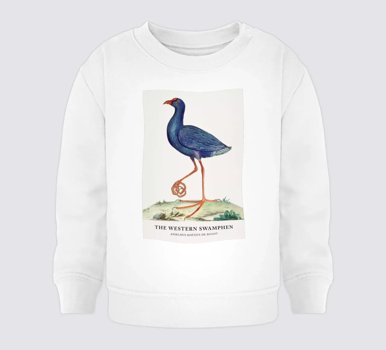 Anselmus Boëtius de Boodt - The Western Swamphen felpa neonato da Vintage by JUNIQE
