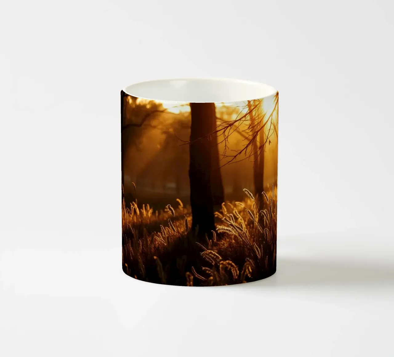 Golden sunlight filters through trees in a tranquil forest ceramic mug by DesignDoodle