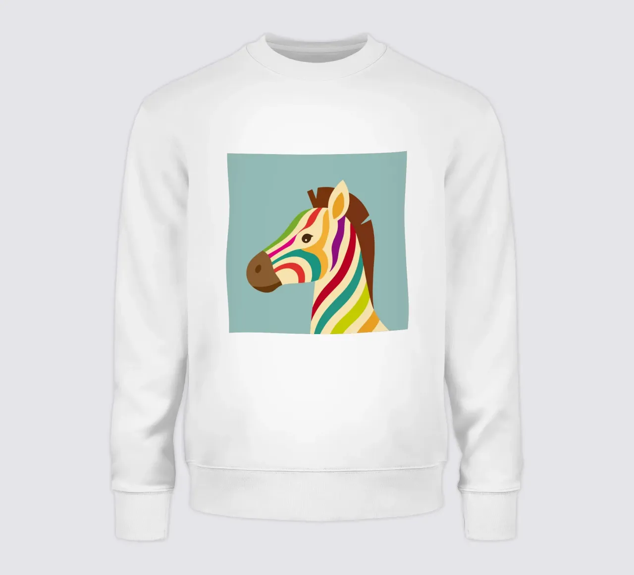 Zebra colorata - Look unico a strisce felpa da namosh