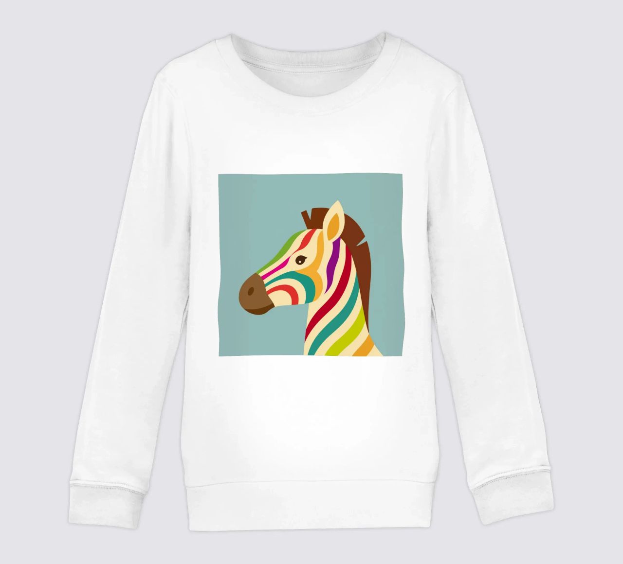 Zebra colorata - Look unico a strisce felpa bambino da namosh