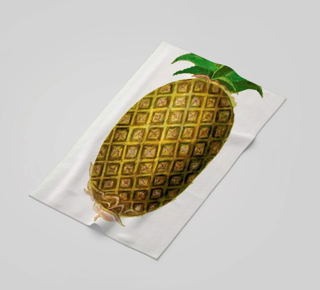 Anselmus Boëtius de Boodt - Pineapple telo mare da Vintage by JUNIQE