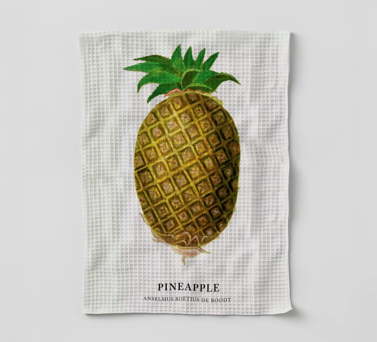 Anselmus Boëtius de Boodt - Pineapple canovaccio da cucina da Vintage by JUNIQE