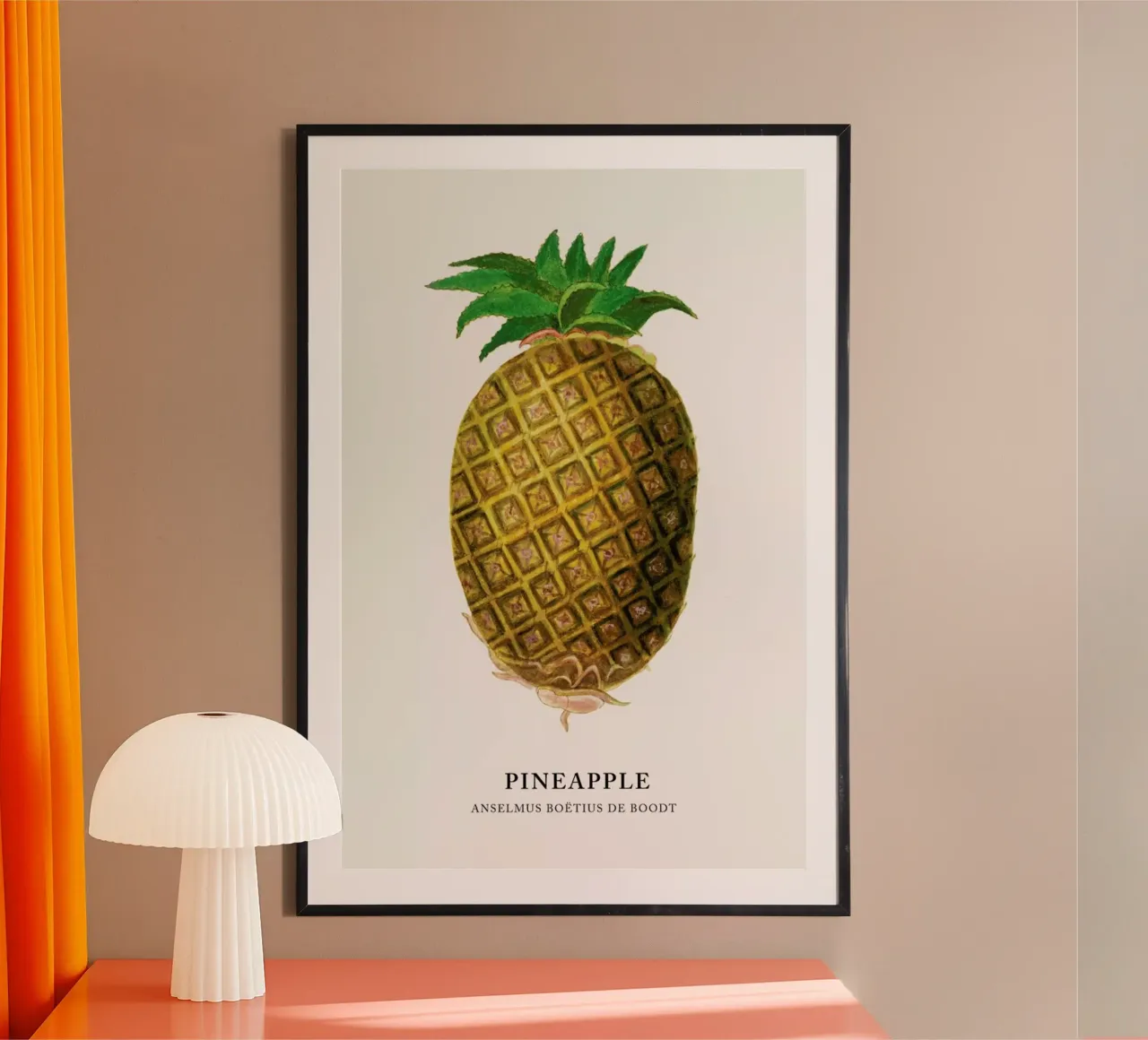 Anselmus Boëtius de Boodt - Pineapple carta hahnemühle da Vintage by JUNIQE
