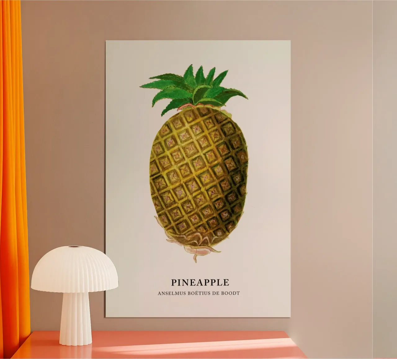 Anselmus Boëtius de Boodt - Pineapple carta hahnemühle da Vintage by JUNIQE