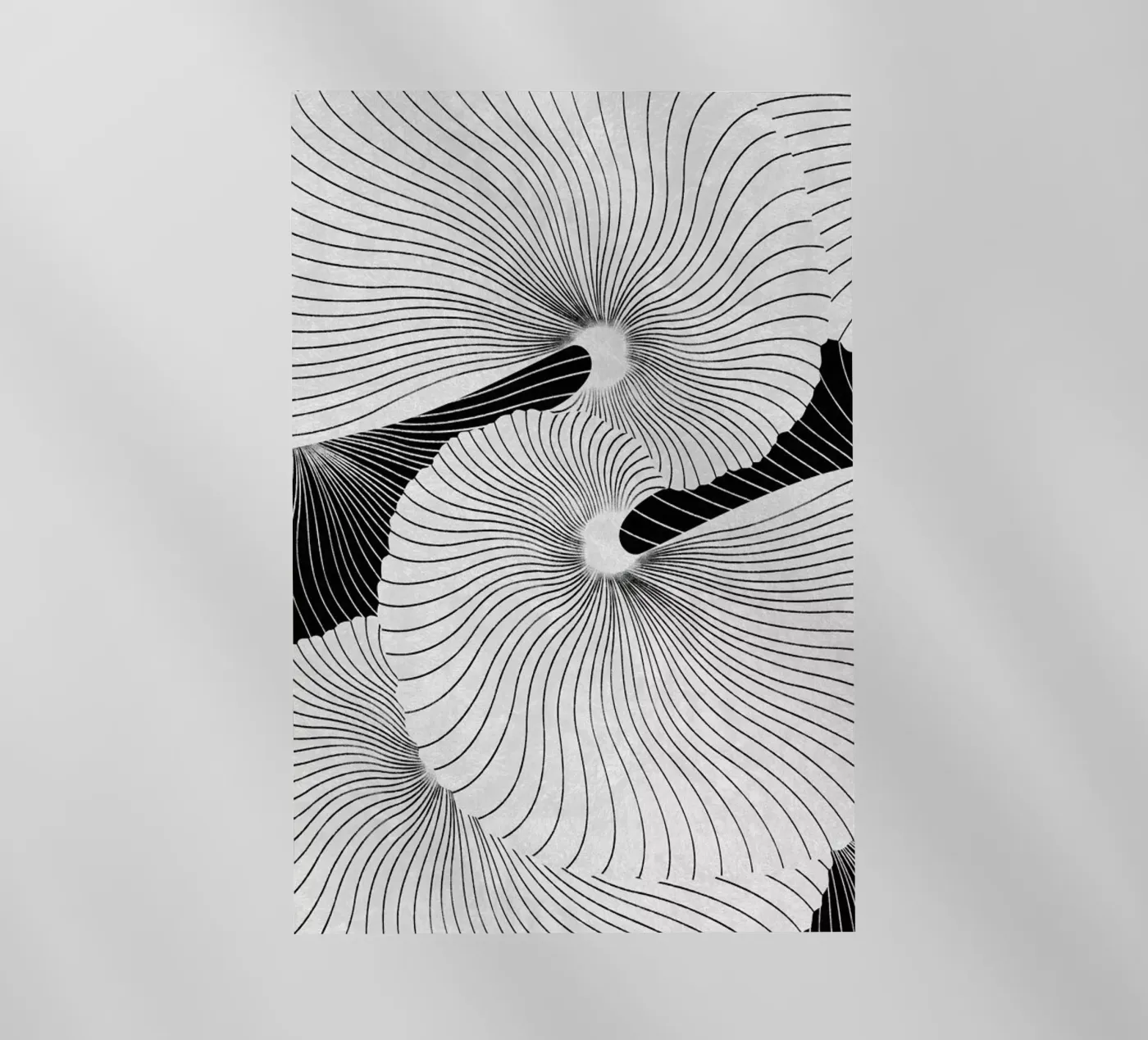 Shell pellicola backlit da STUDIO LEEMO