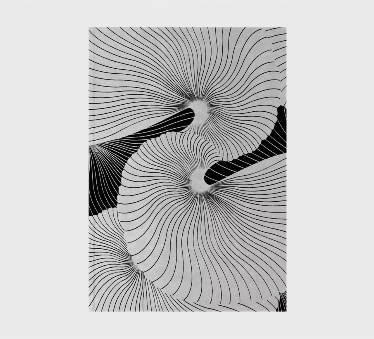 Shell notebook by STUDIO LEEMO