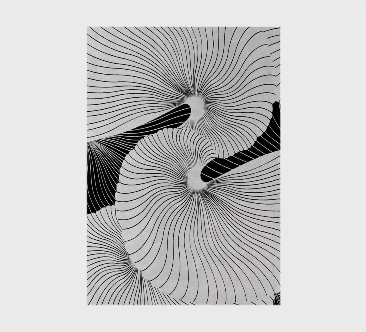 Shell notebook by STUDIO LEEMO