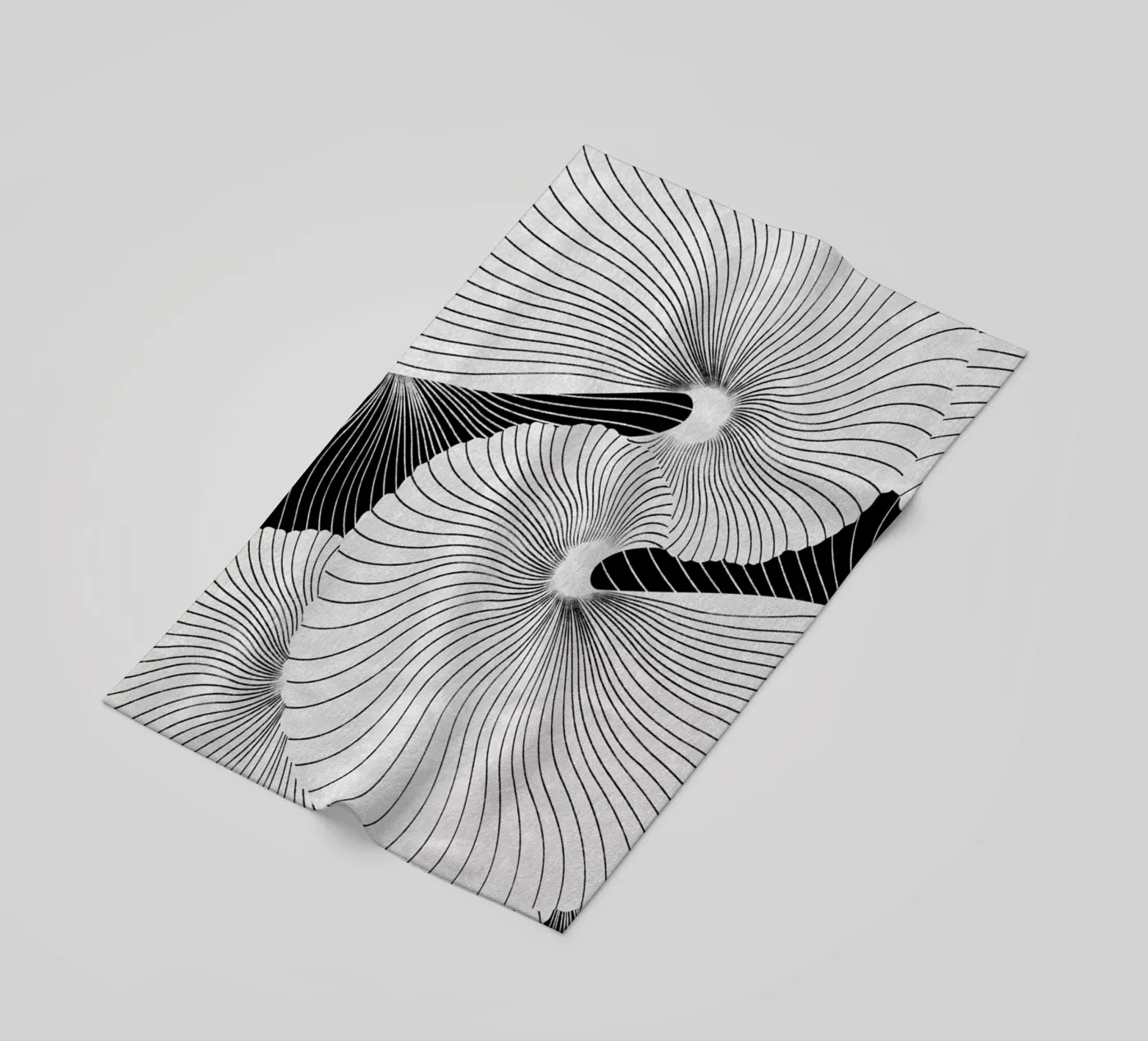 Shell telo mare da STUDIO LEEMO