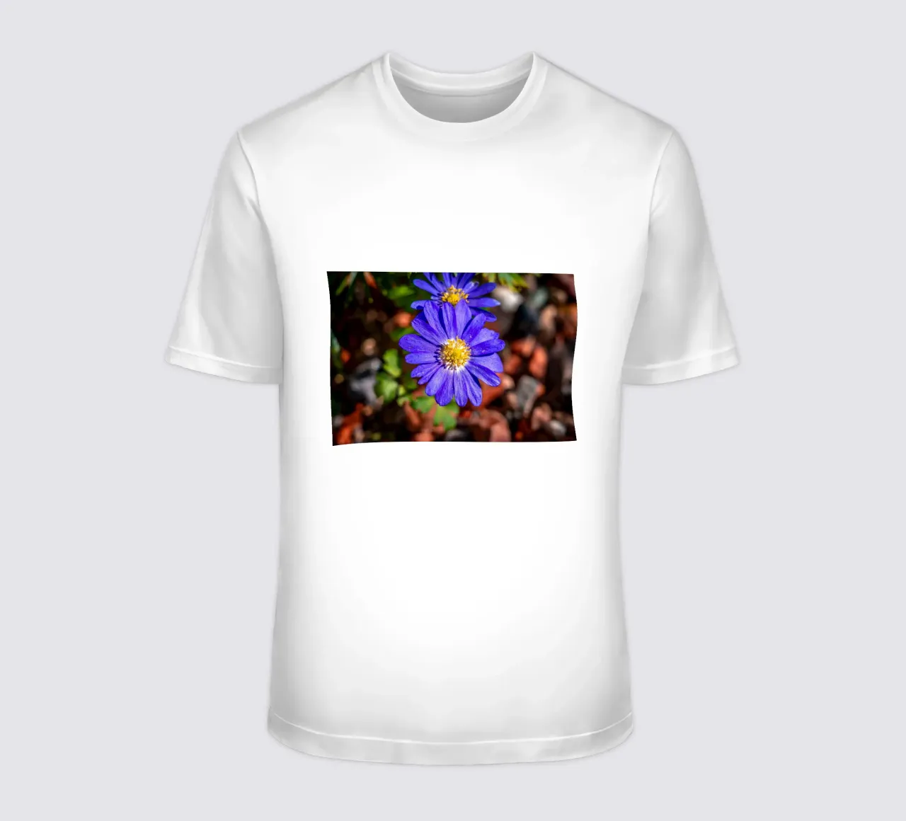 Balkan anemone in spring t-shirt by Marcus Beckert | Fotografie