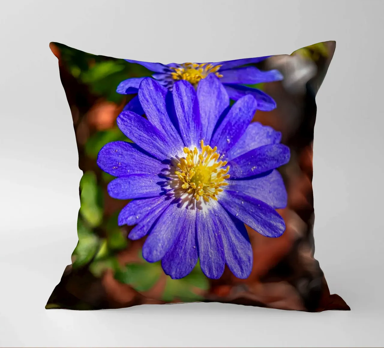 Anemone dei Balcani in primavera cuscino da Marcus Beckert | Fotografie