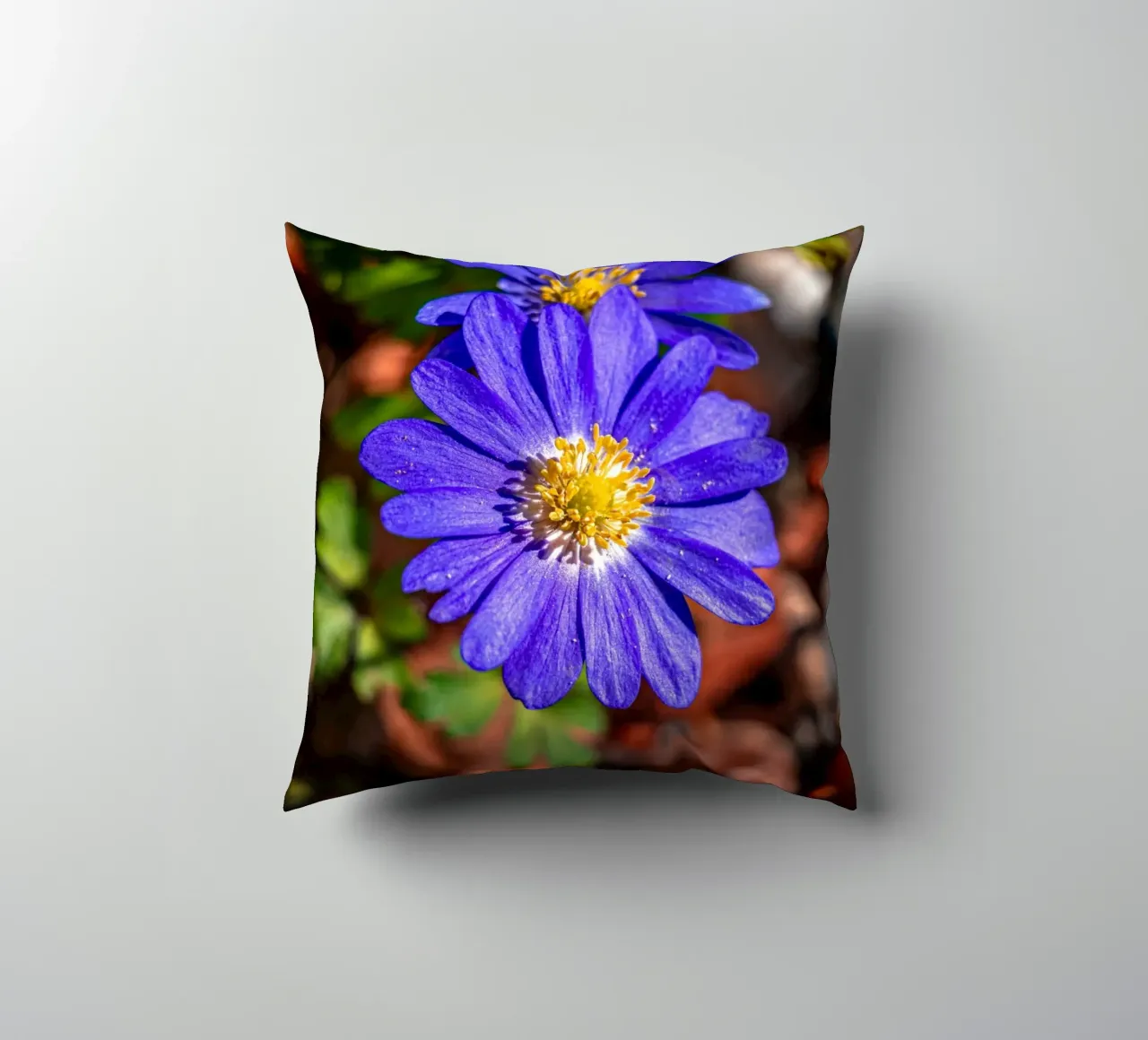 Anemone dei Balcani in primavera cuscino da Marcus Beckert | Fotografie