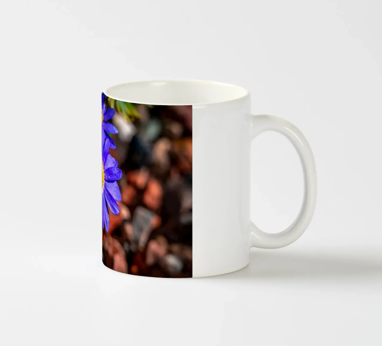Anemone dei Balcani in primavera tazza in ceramica da Marcus Beckert | Fotografie