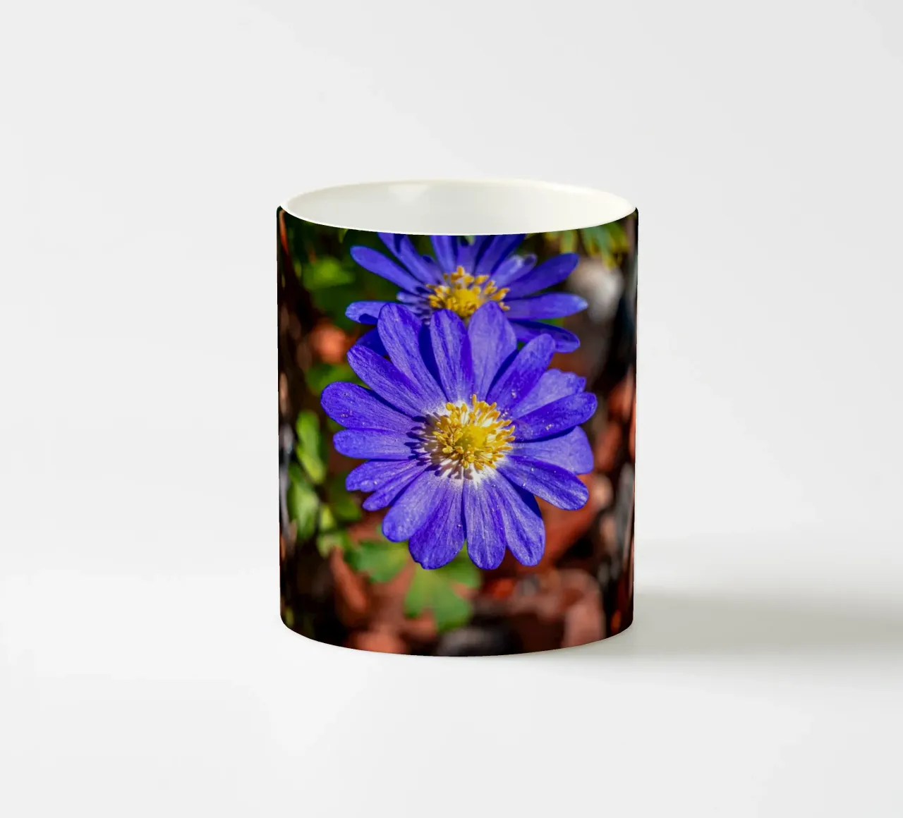 Anemone dei Balcani in primavera tazza in ceramica da Marcus Beckert | Fotografie