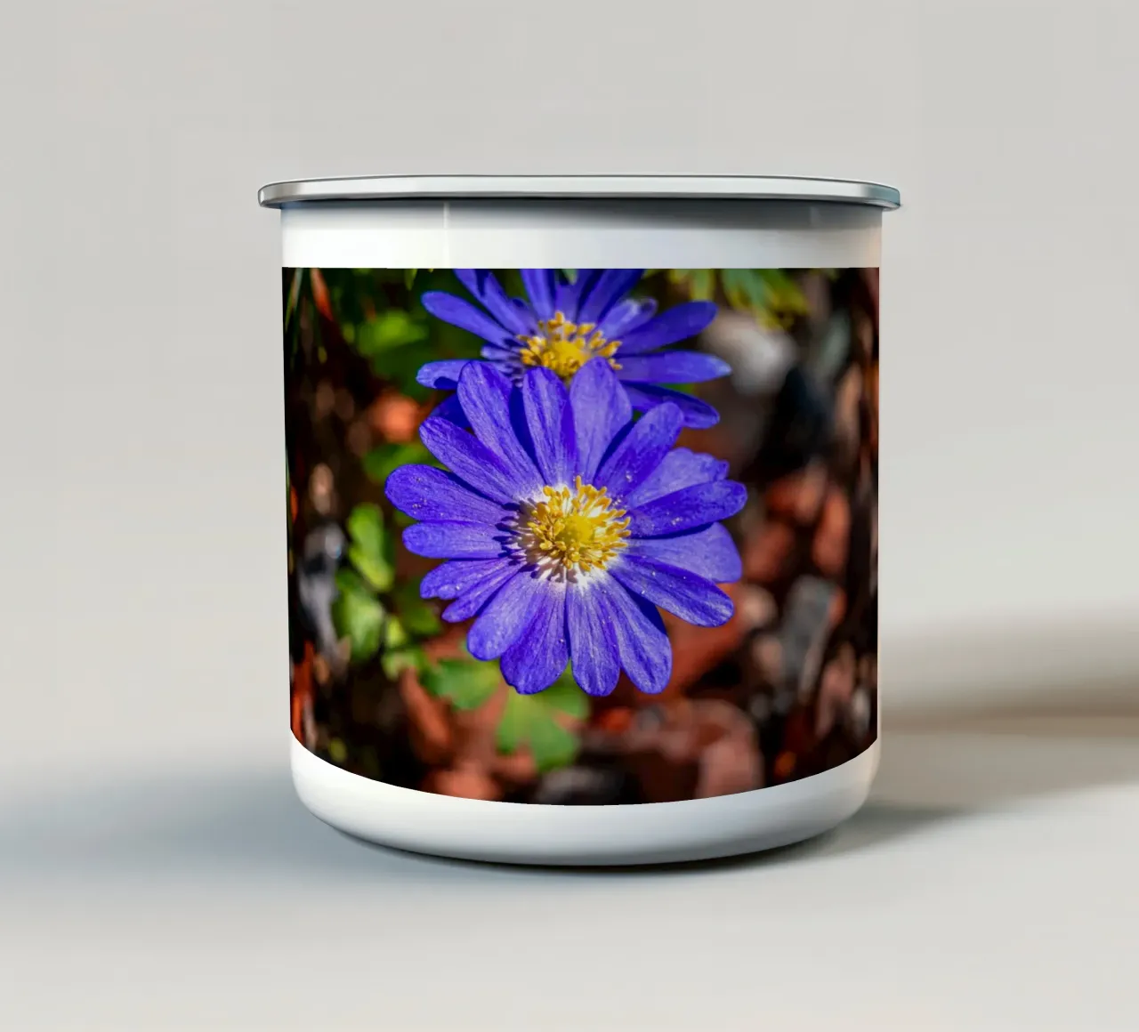 Anemone dei Balcani in primavera tazza in smalto da Marcus Beckert | Fotografie