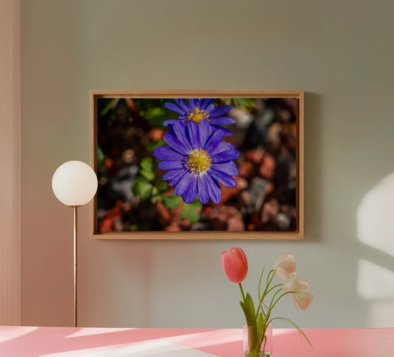 Balkan anemone in spring canvas by Marcus Beckert | Fotografie