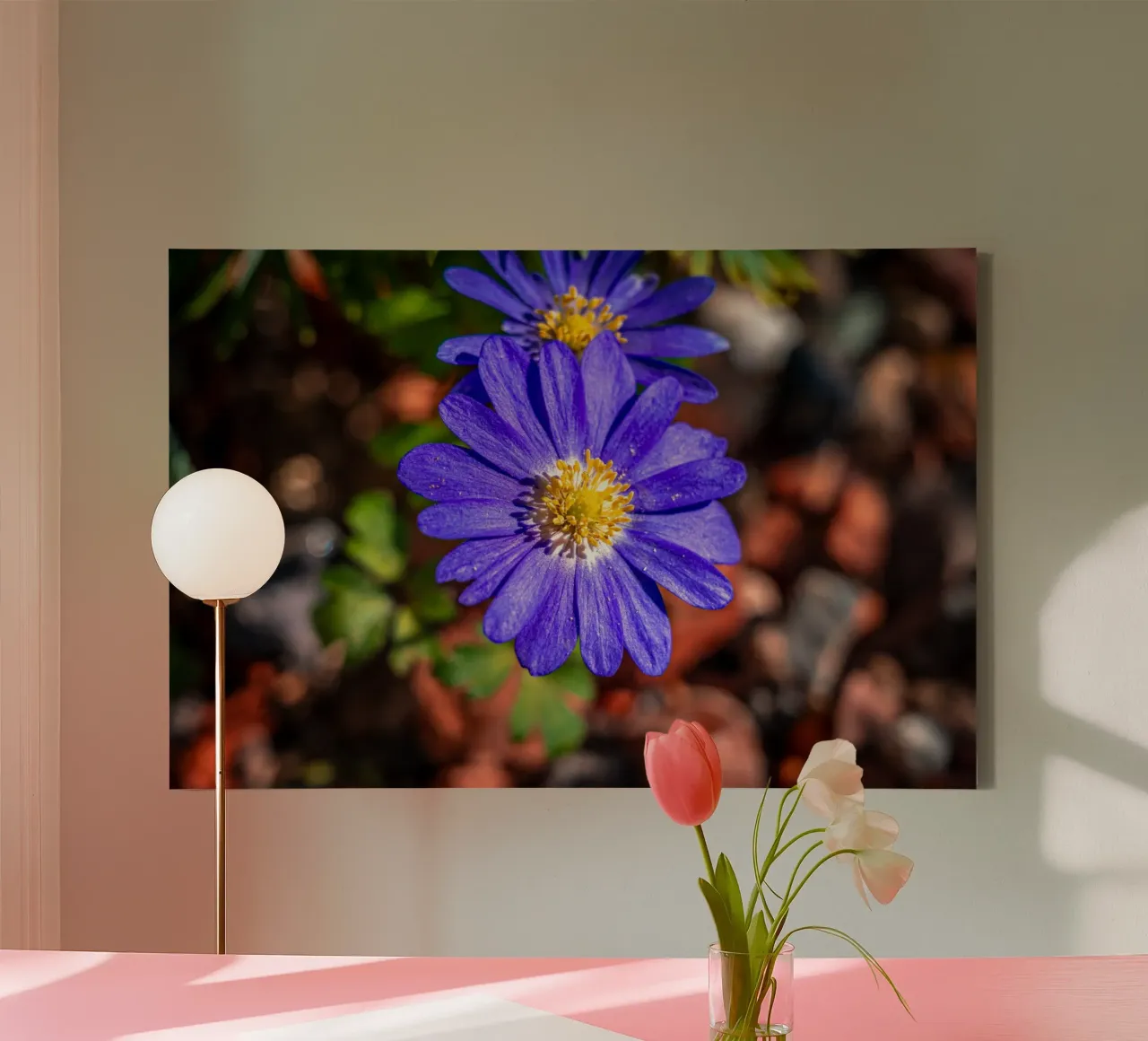 Balkan anemone in spring canvas by Marcus Beckert | Fotografie