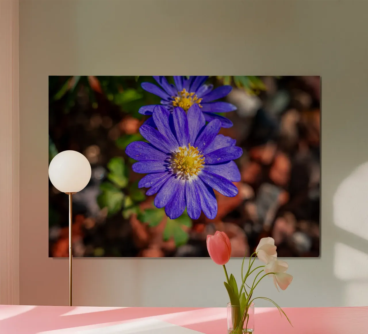 Balkan anemone in spring hahnemühle by Marcus Beckert | Fotografie