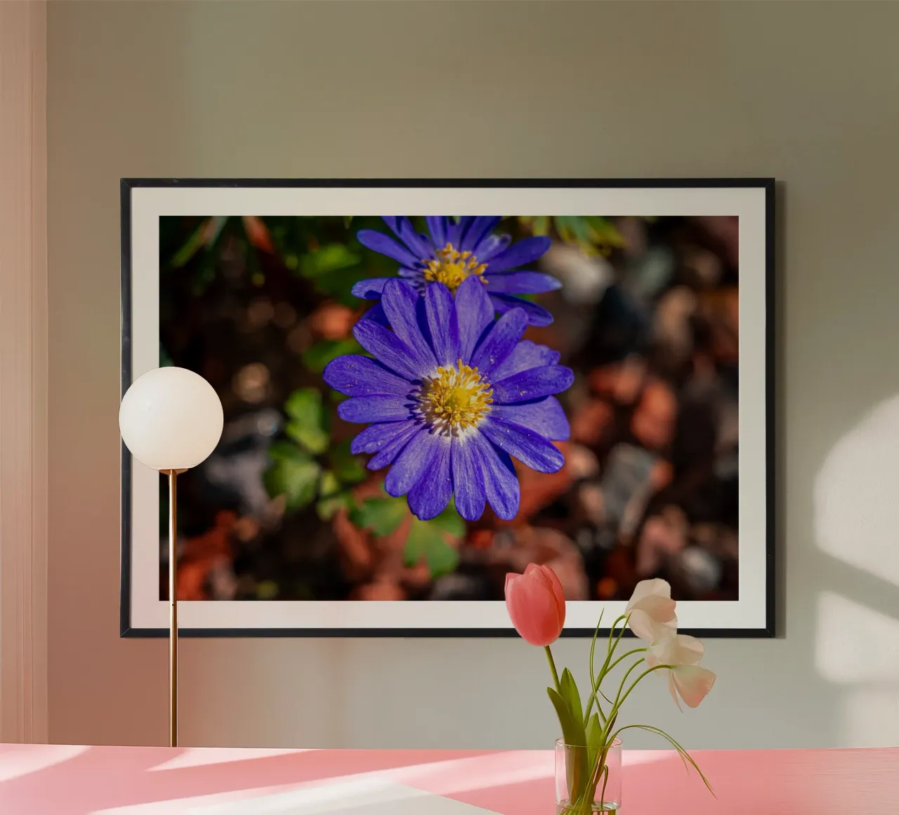 Balkan anemone in spring hahnemühle by Marcus Beckert | Fotografie