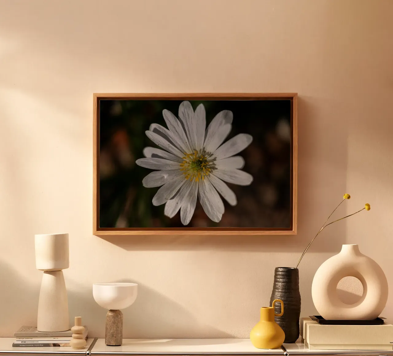 White Balkan anemone in spring canvas by Marcus Beckert | Fotografie