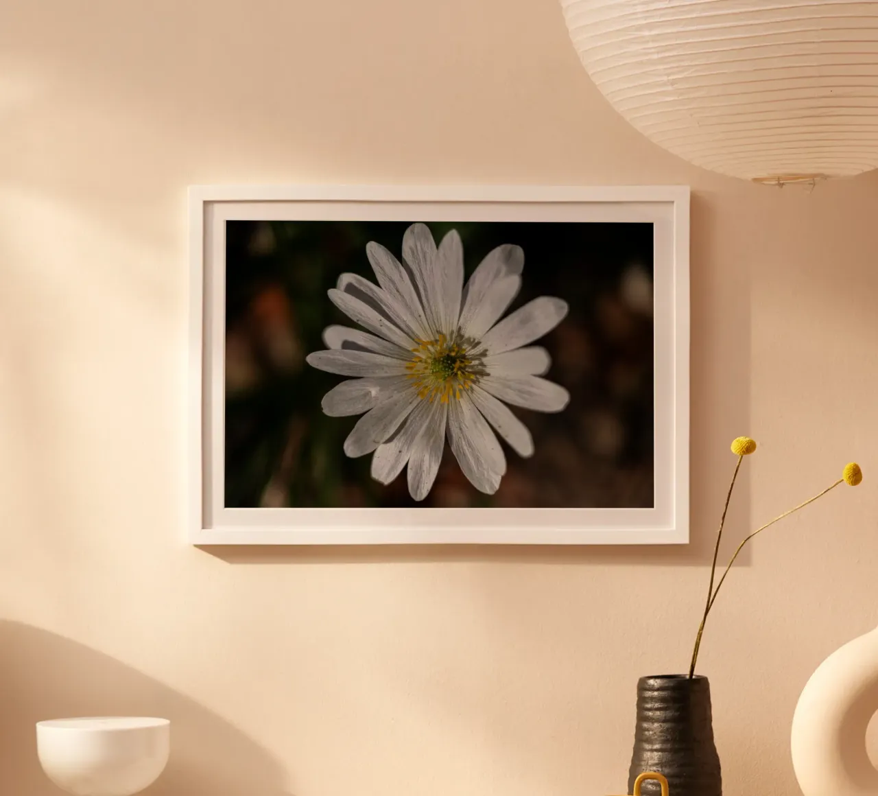 White Balkan anemone in spring poster by Marcus Beckert | Fotografie