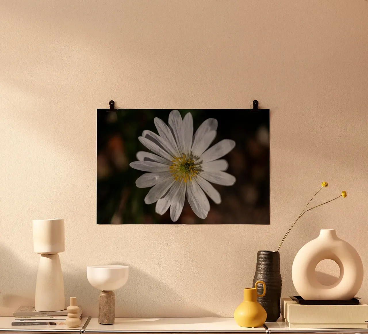 White Balkan anemone in spring poster by Marcus Beckert | Fotografie