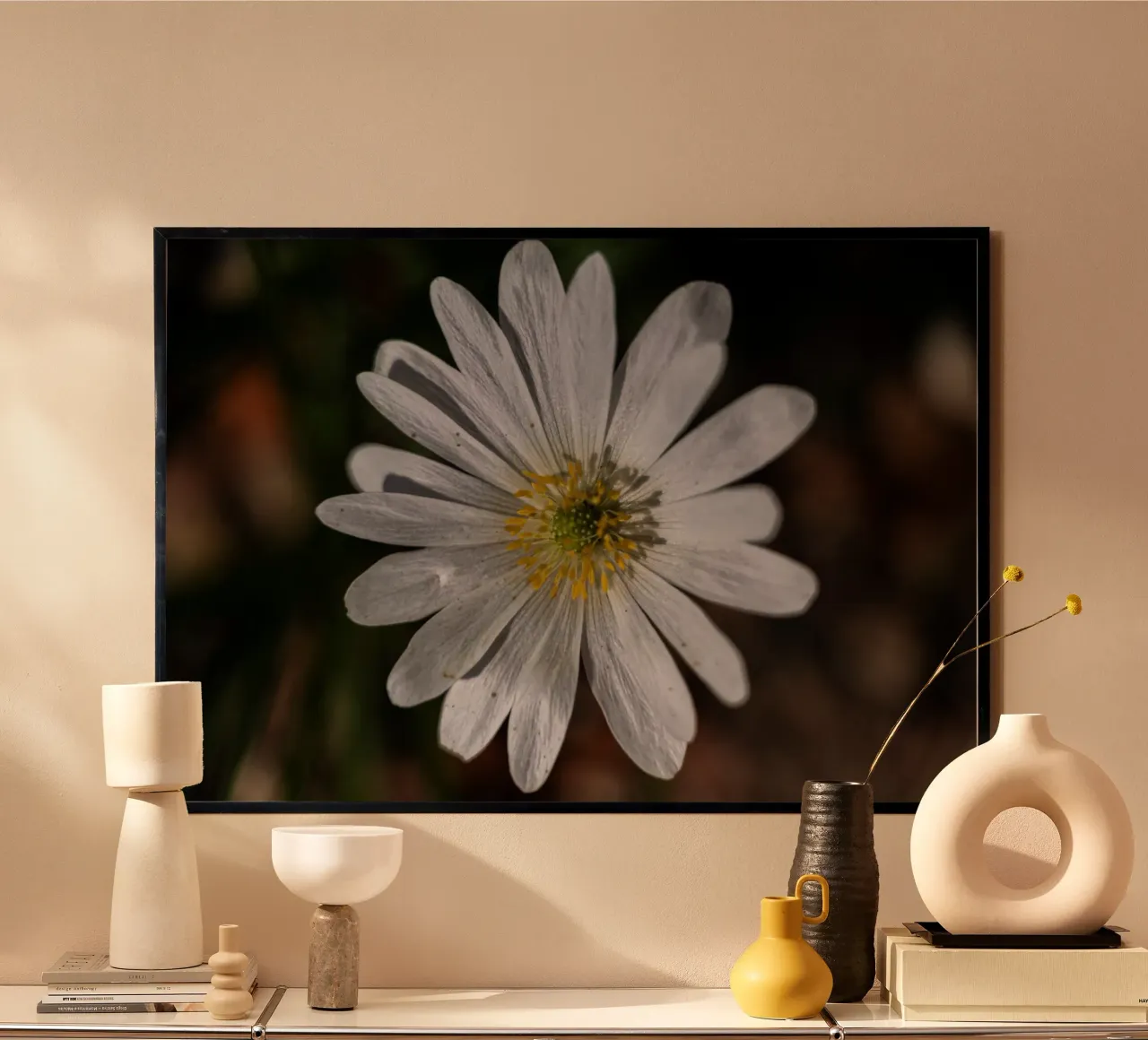 White Balkan anemone in spring poster by Marcus Beckert | Fotografie