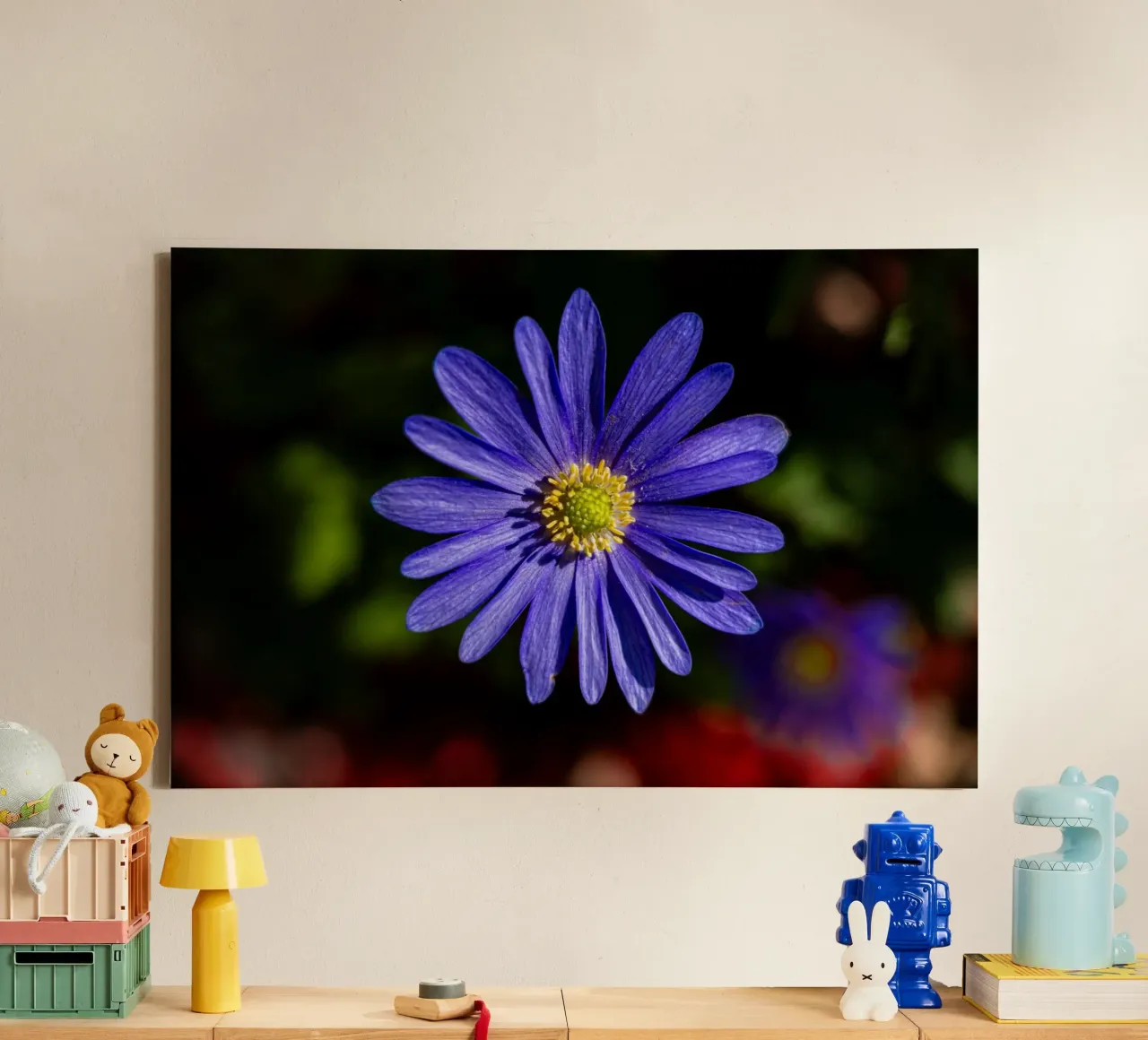 Flower of a Balkan anemone canvas by Marcus Beckert | Fotografie