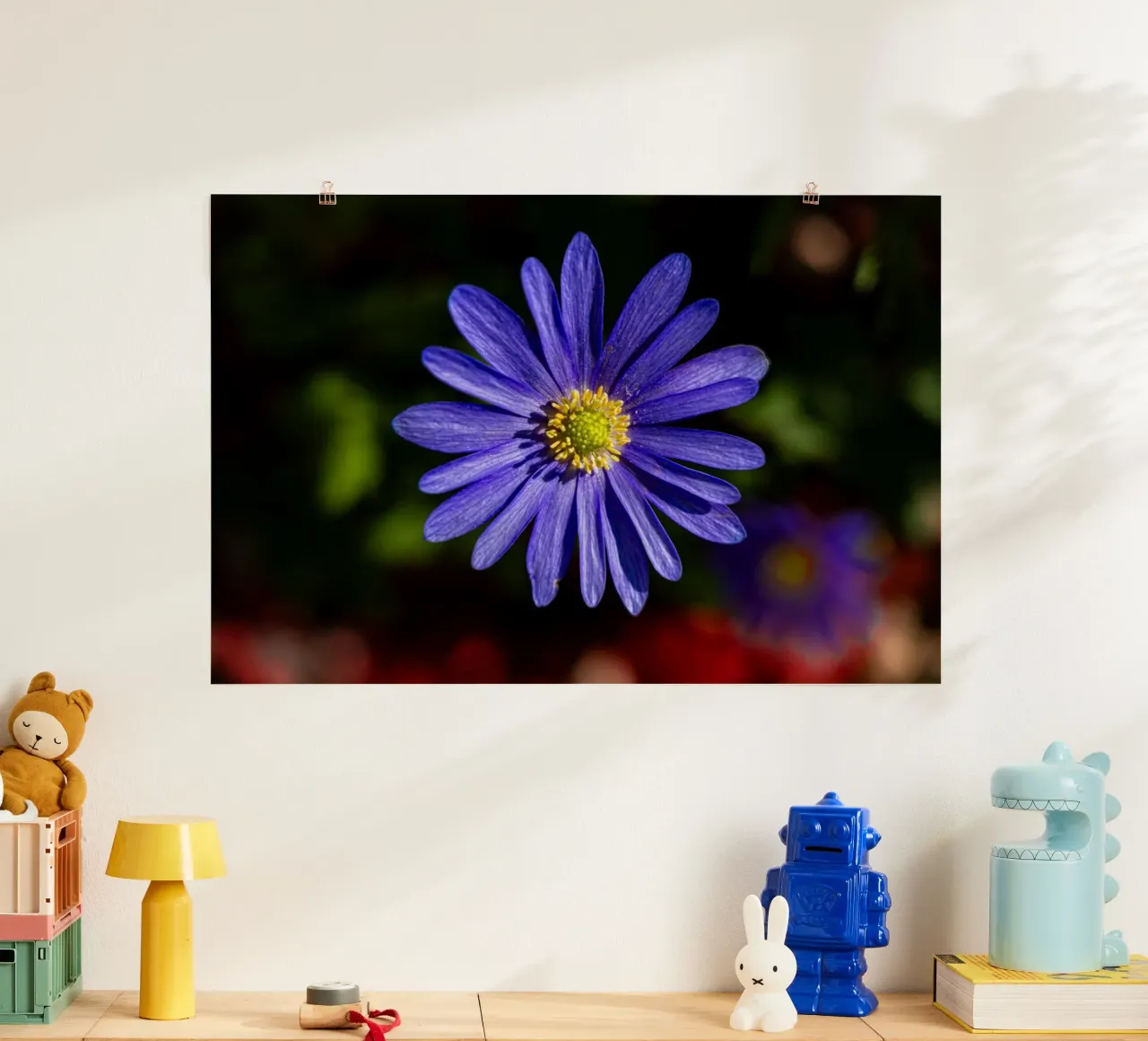 Flor de una anémona de los Balcanes poster de Marcus Beckert | Fotografie