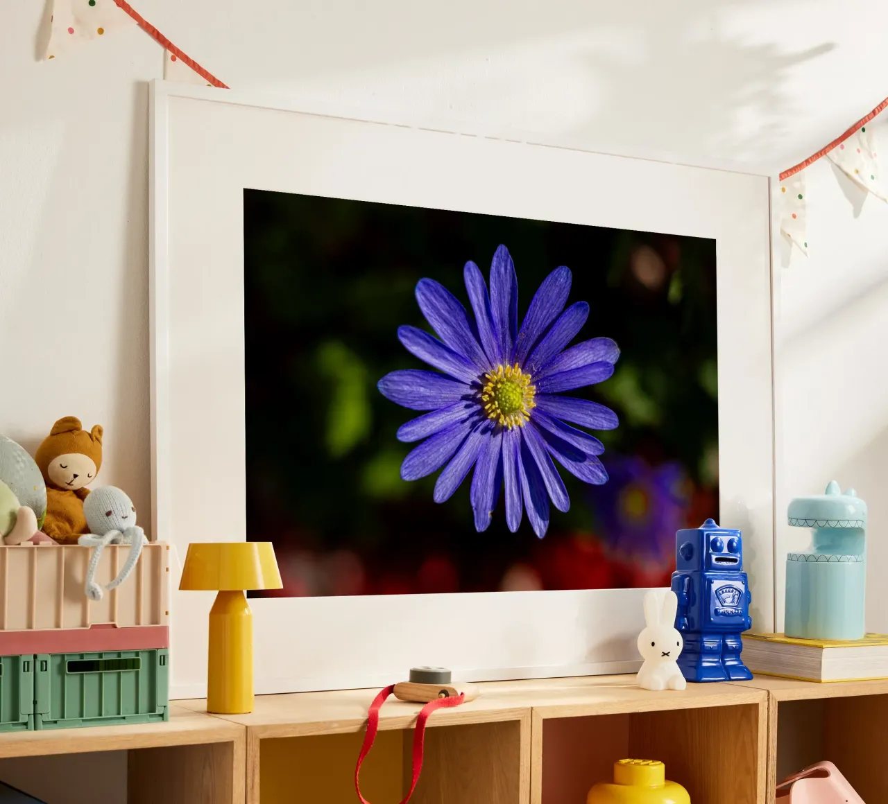 Flor de una anémona de los Balcanes poster de Marcus Beckert | Fotografie