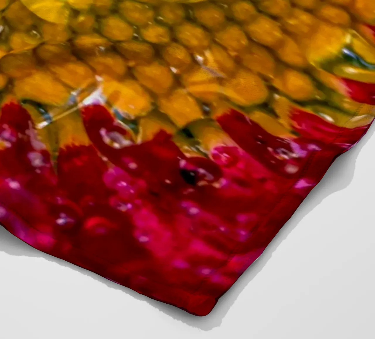 Margherita rossa con gocce d'acqua coperta in pile da Marcus Beckert | Fotografie