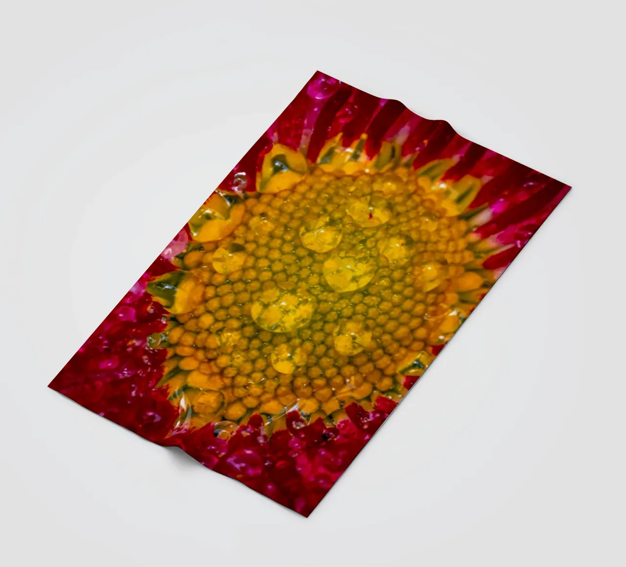 Margherita rossa con gocce d'acqua coperta in pile da Marcus Beckert | Fotografie