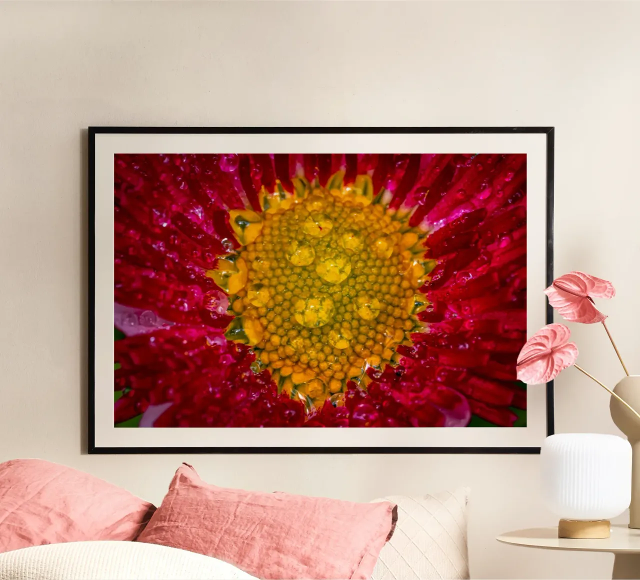 Red daisy with water droplets hahnemühle by Marcus Beckert | Fotografie