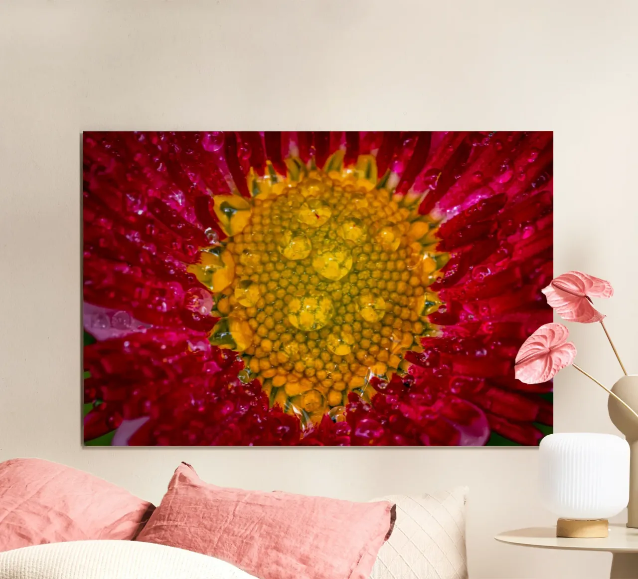 Red daisy with water droplets hahnemühle by Marcus Beckert | Fotografie