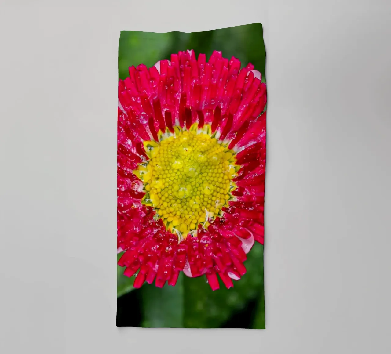 Red daisy in spring towel by Marcus Beckert | Fotografie
