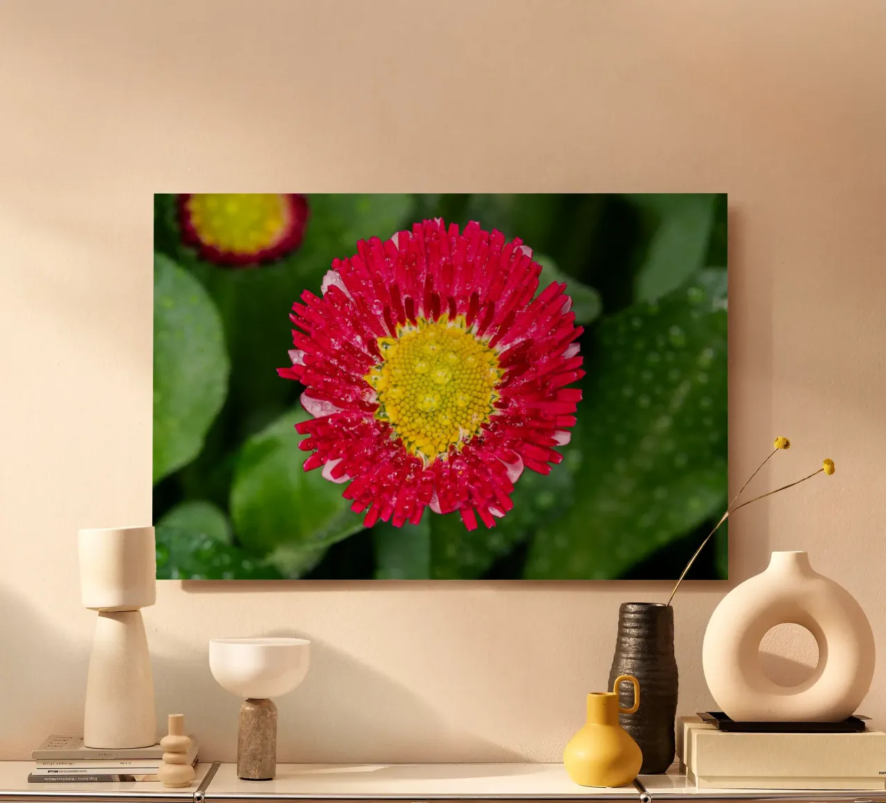 Red daisy in spring forex plate by Marcus Beckert | Fotografie
