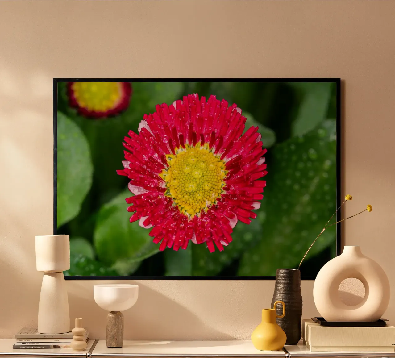 Marguerite rouge au printemps hahnemühle de Marcus Beckert | Fotografie