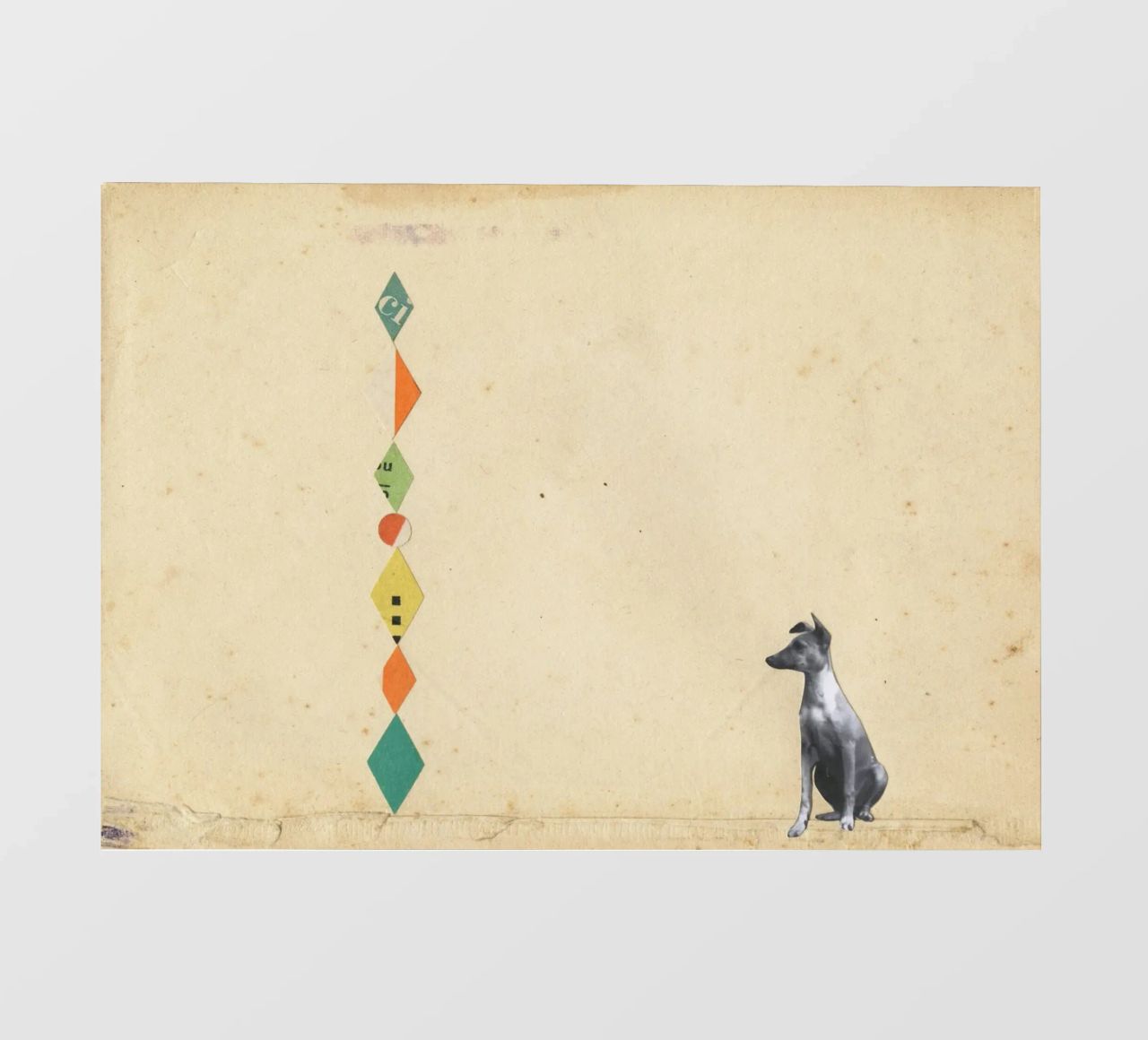 Whippet meraviglioso telo in pvc da Cassia Beck Collage
